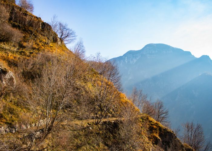 Alta Via del Tabacco - Valbrenta (VI)