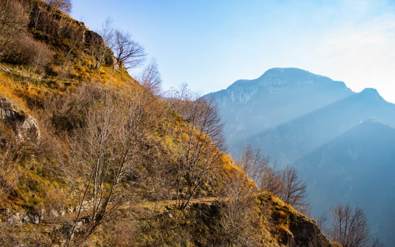 Alta Via del Tabacco - Valbrenta (VI)