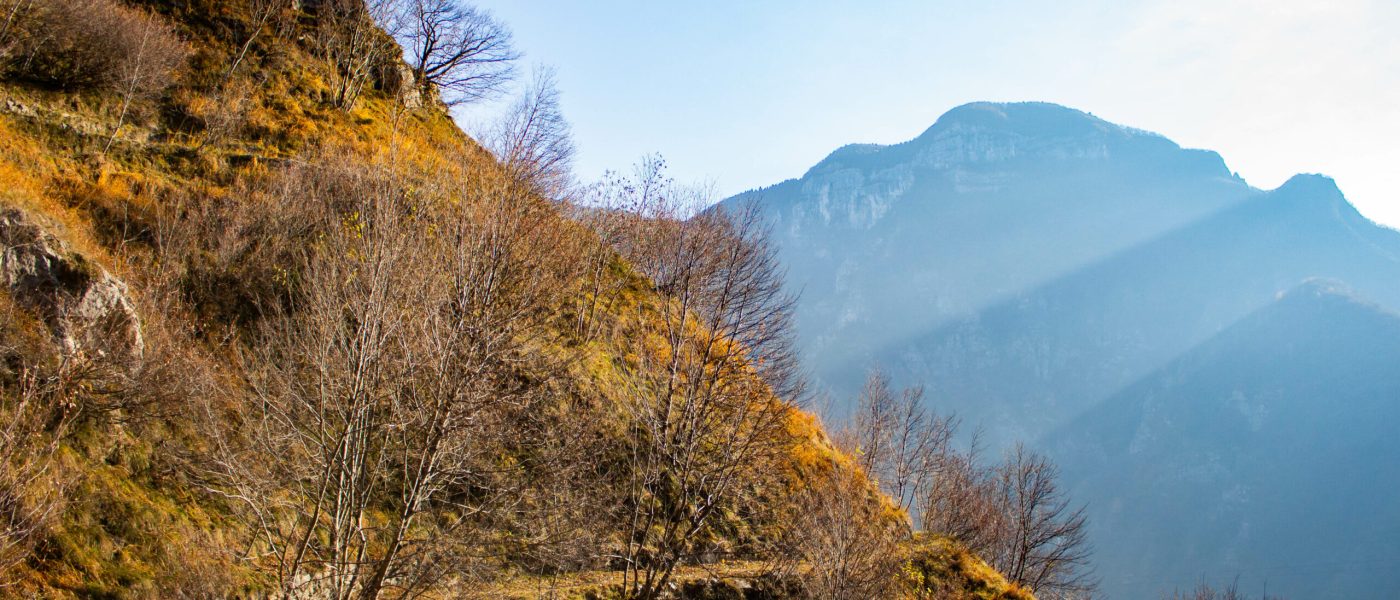 Alta Via del Tabacco - Valbrenta (VI)