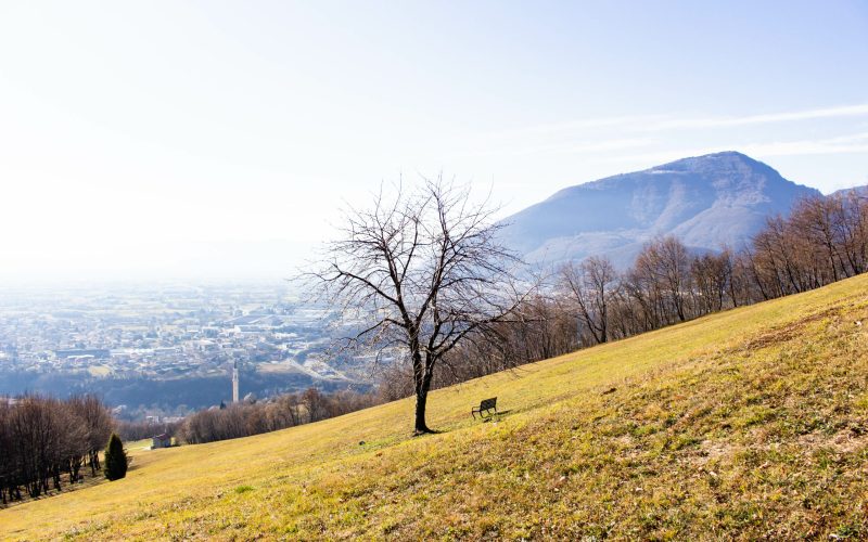 Colline di Caltrano (VI)